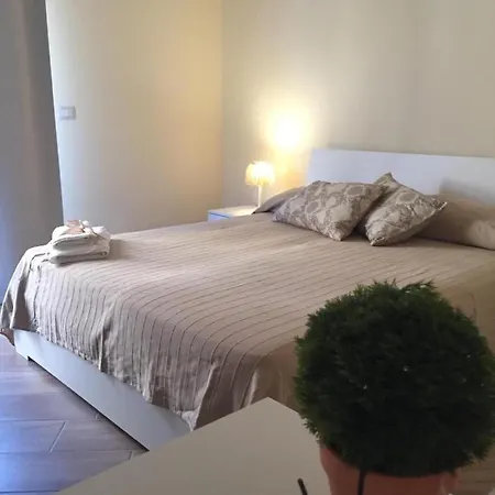 Palazzo Don Carlo- -
